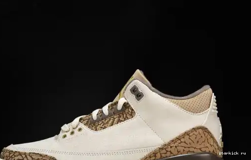 Palomino  CT8532-102  Retro Jordan 3 CT8532-102 0611